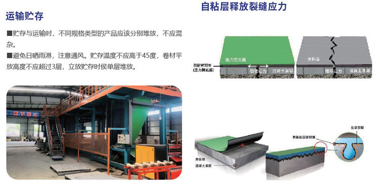 快速反应粘强力交叉膜防水卷材(图2)